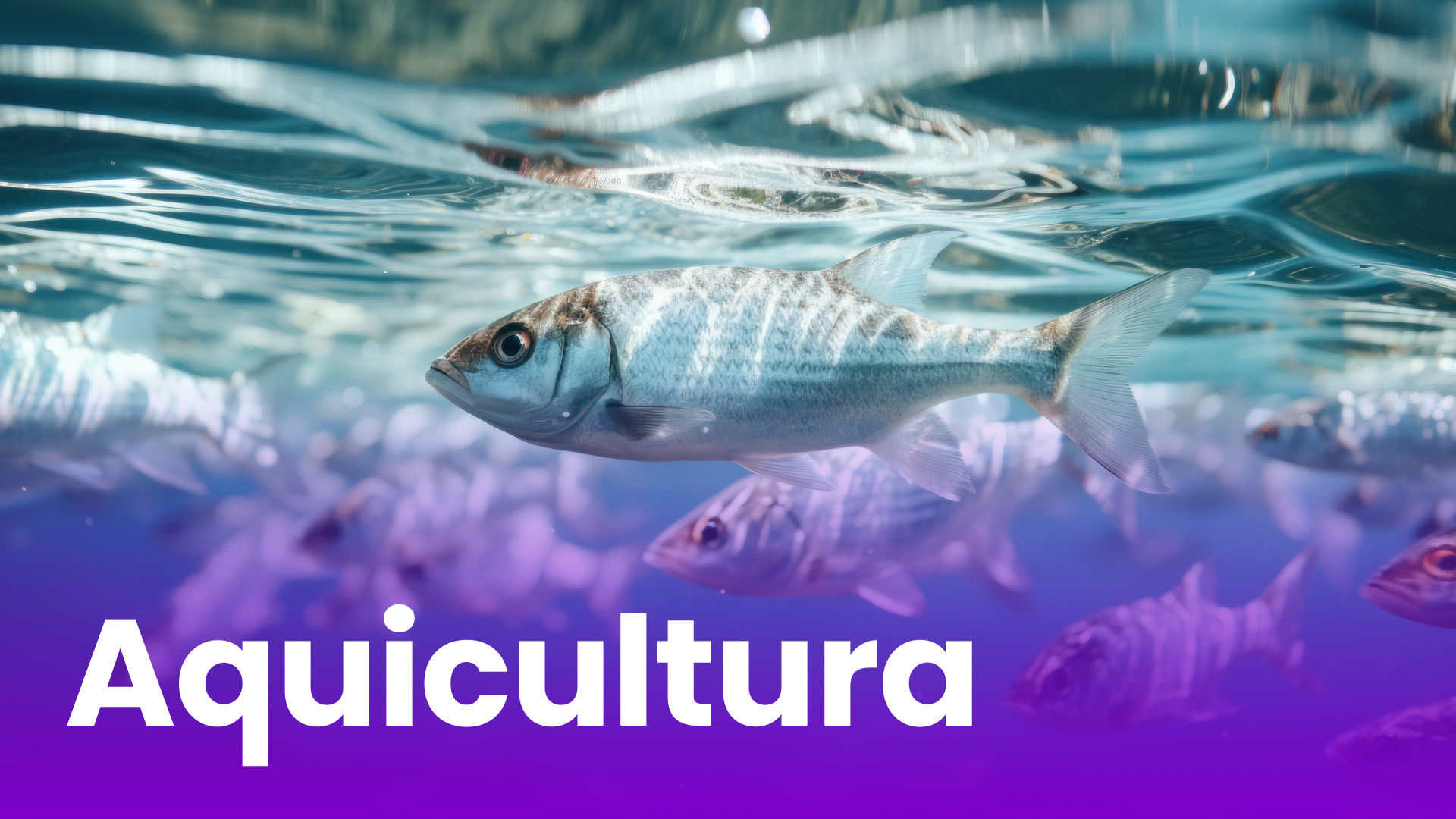 Aquicultura - Capa